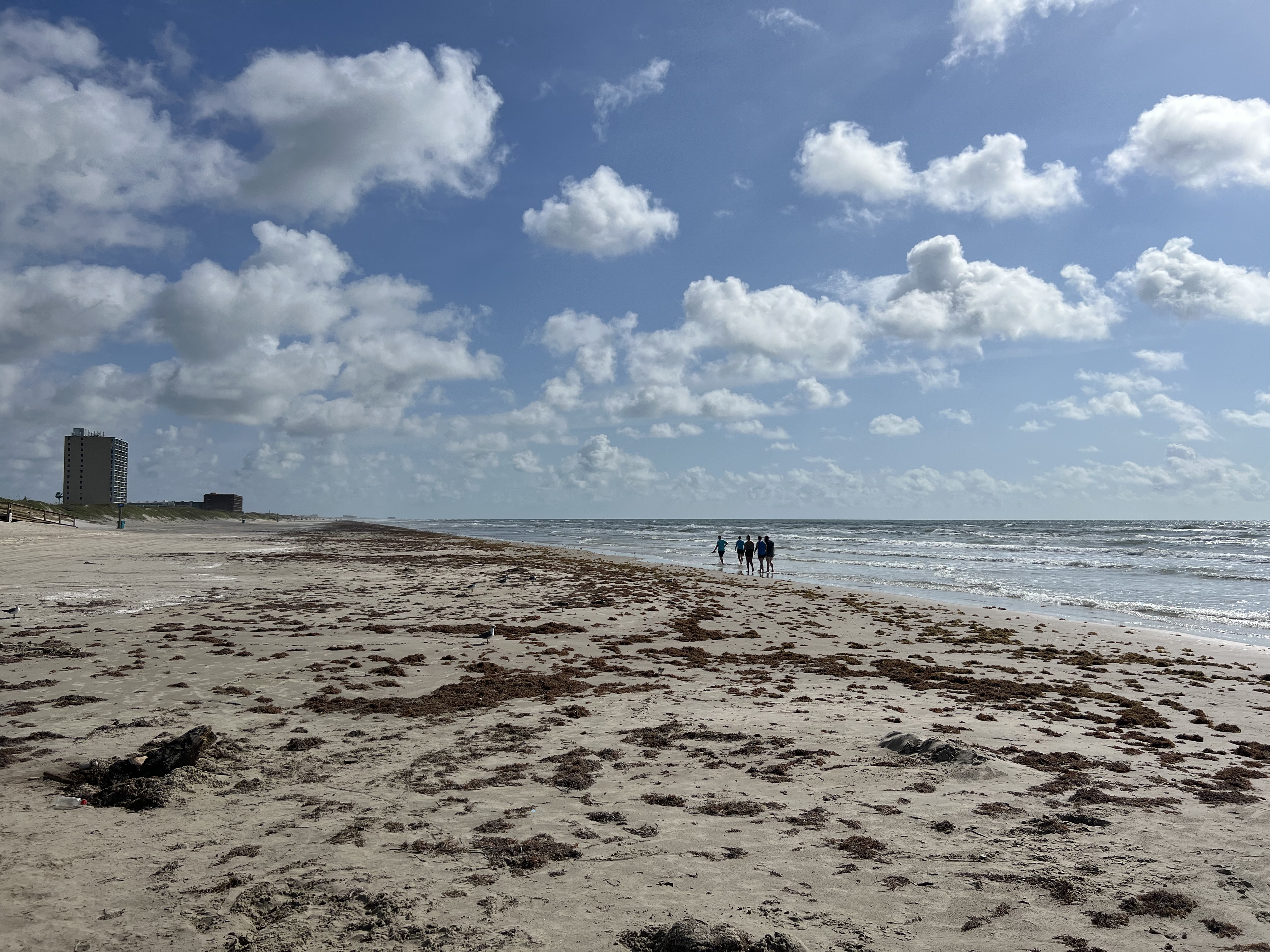 Beach Camping Tips for a Memorable Coastal Bend Vacation