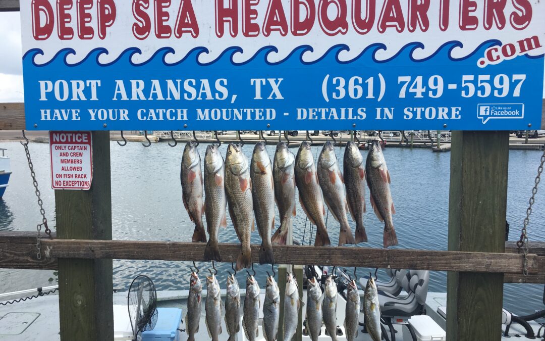 Fishing Opportunities on the Texas Coast in Winter