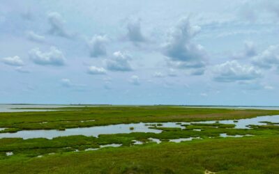 Aransas National Wildlife Refuge